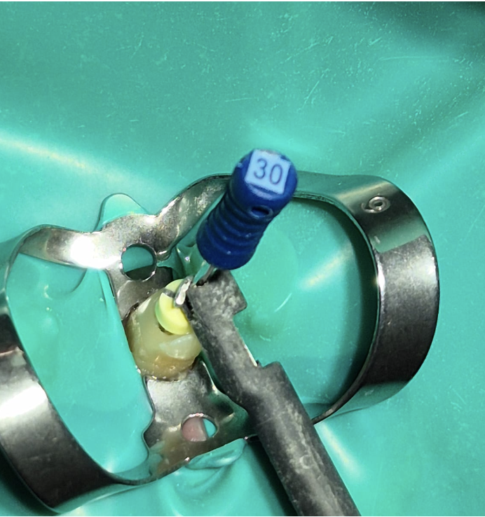 Captura de pantalla 2026-02-15 a la(s) 8.28.20 a.m.